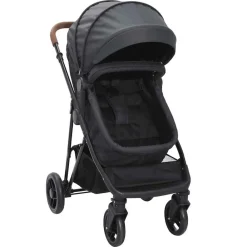 vidaXL Poussette pour bébé 2-en-1 et noir Acier