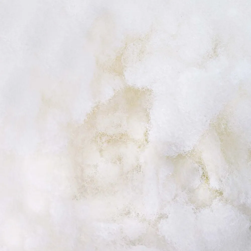 vidaXL Remplissage en Fibre Blanc 1 kg Polyester