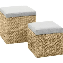 Poufs-vidaXL Repose-pied lot de 2 Jacinthe d'eau Gris