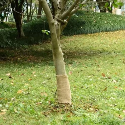 Décorations-vidaXL Rouleau de jute 0,25x5 m 100 % jute 200 g/m²