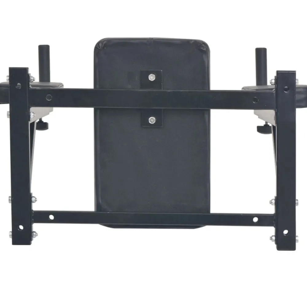 vidaXL Station de fitness murale noire