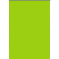 Décorations-vidaXL Store enrouleur occultant largeur du tissu 100,7 cm polyester Vert feuilles