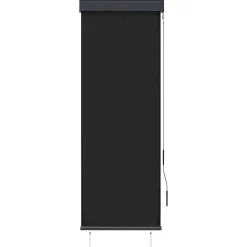 vidaXL Store roulant d'extérieur 60 x 250 cm