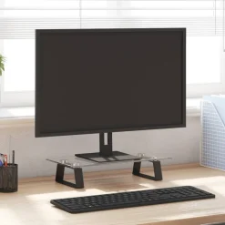 vidaXL Support de moniteur 40x20x8 cm verre trempé et métal