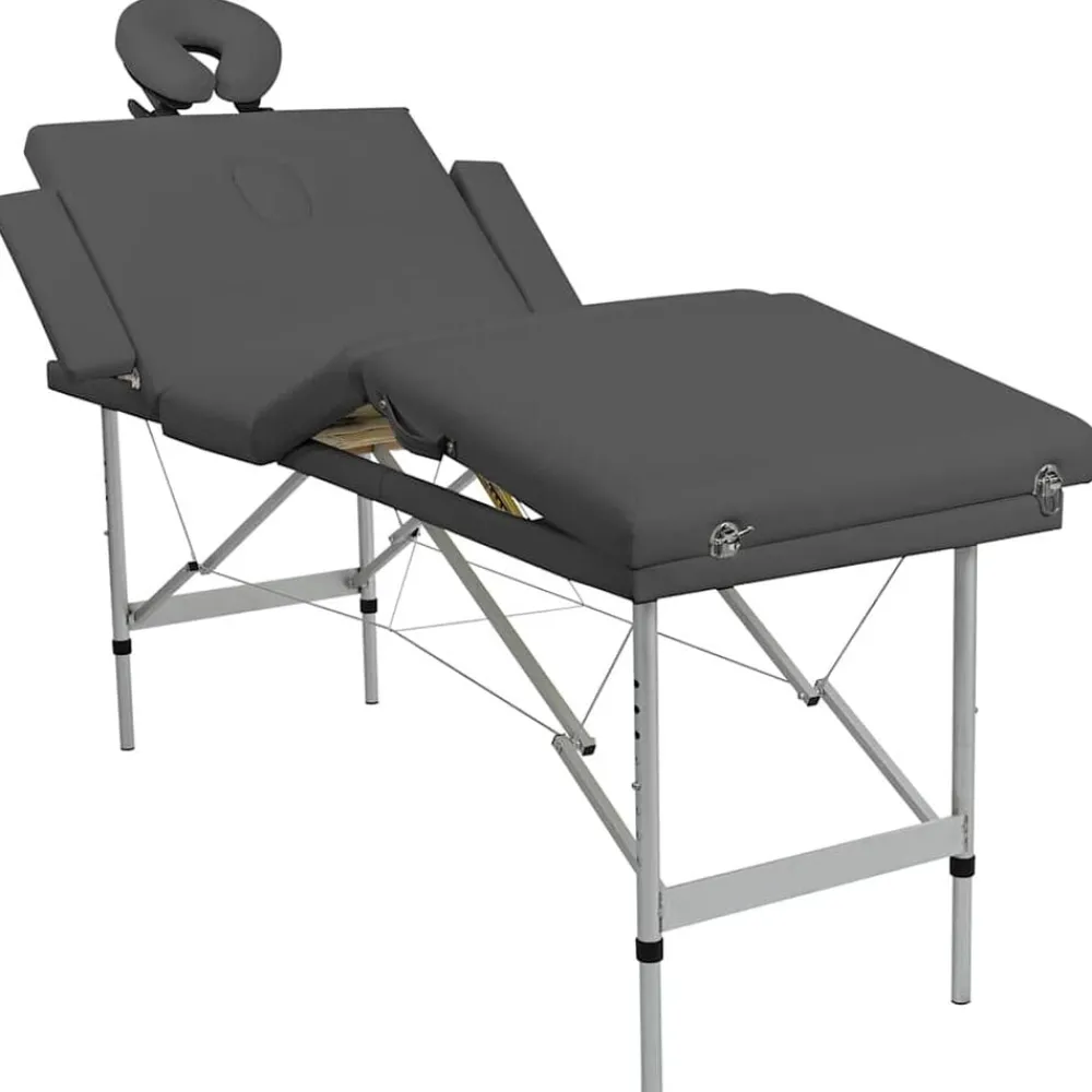 vidaXL Table de massage 4 zones Cadre en aluminium 186x68cm