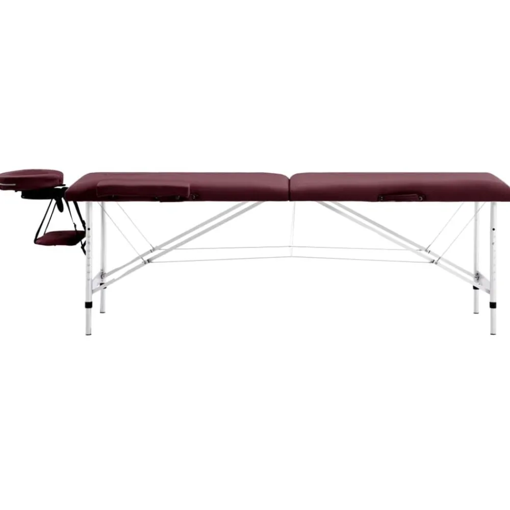 vidaXL Table de massage pliable 2 zones Aluminium
