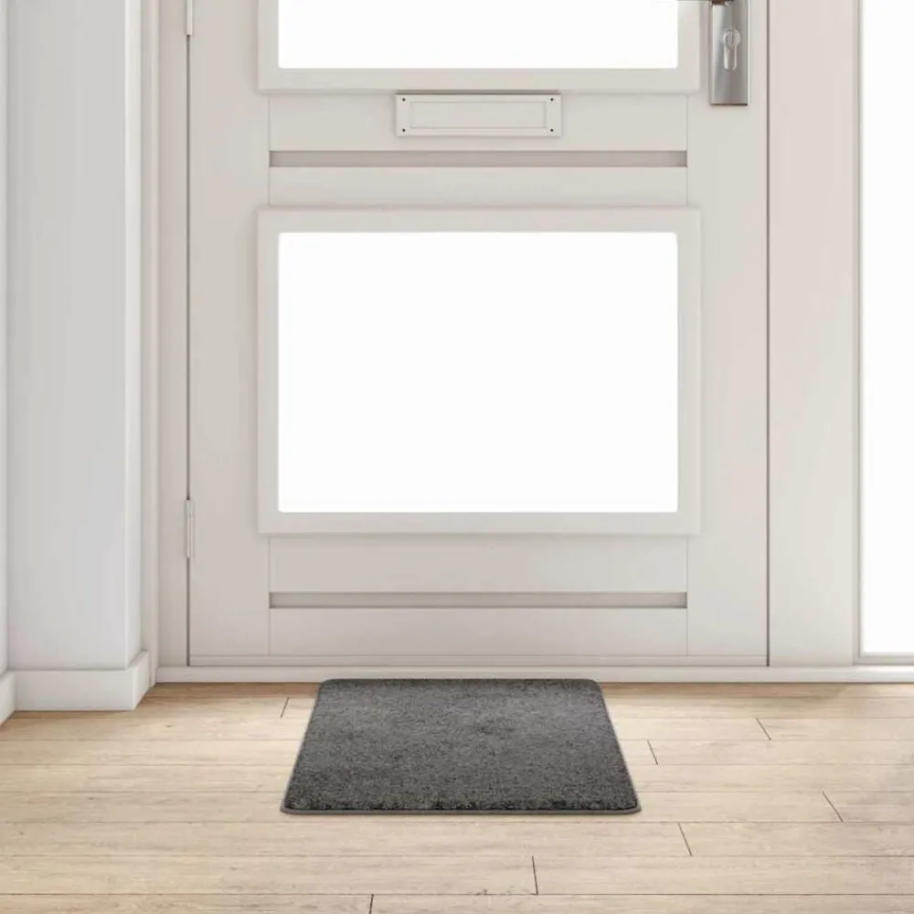 Décorations-vidaXL Tapis Couloir 50 x 100 cm Gris