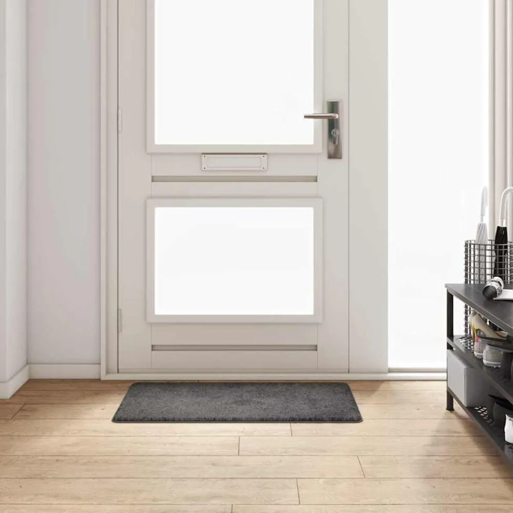 Décorations-vidaXL Tapis Couloir 50 x 100 cm Gris