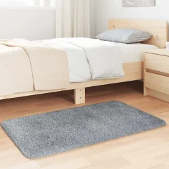 Décorations-vidaXL Tapis Shaggy à poils longs NAVARRA 60x100 cm Gris clair