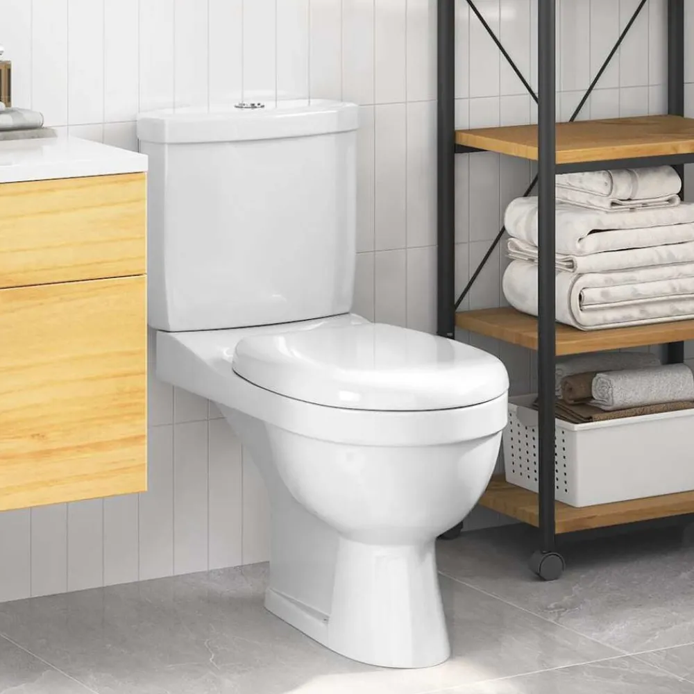 Plomberie-vidaXL Toilette avec réservoir Blanc