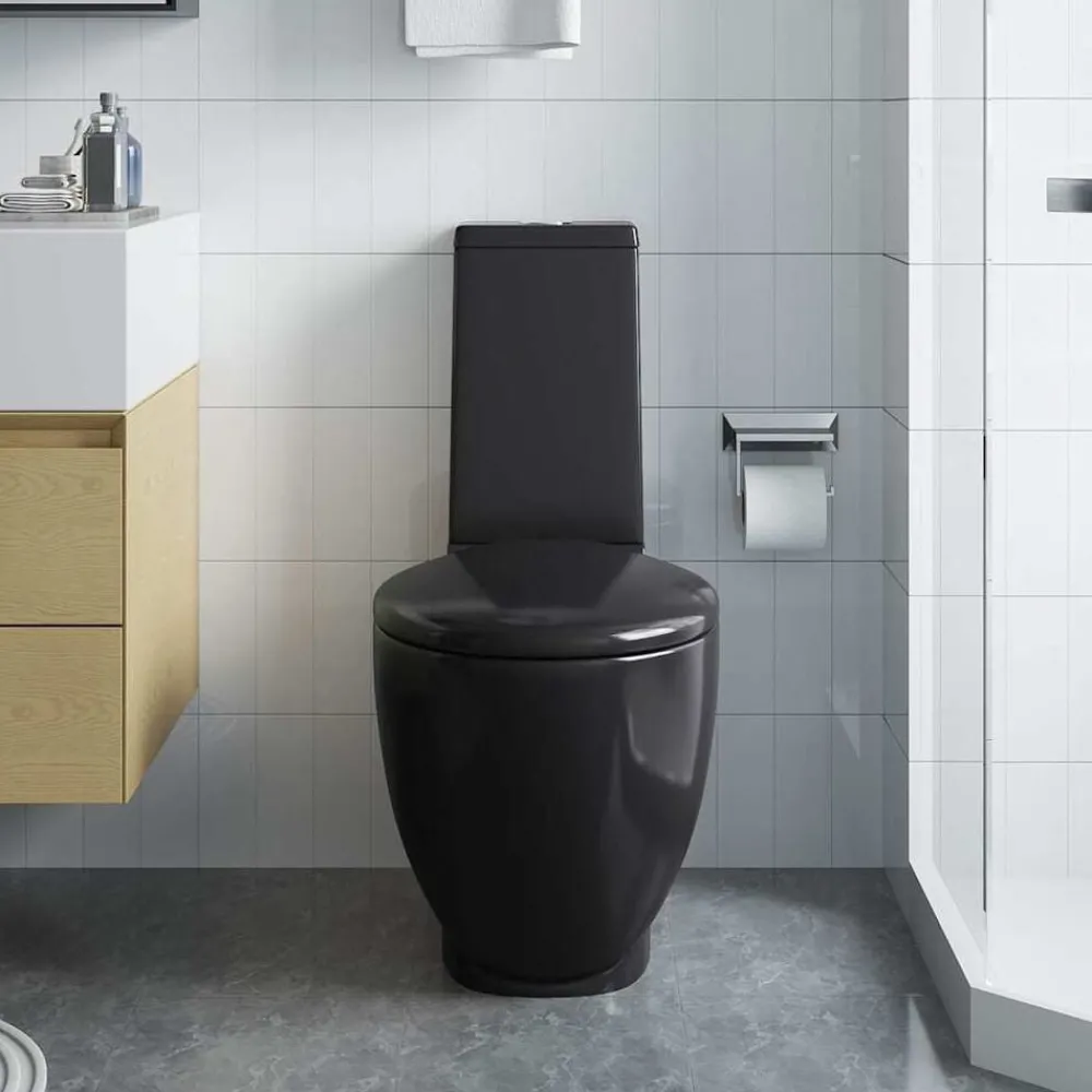 Plomberie-vidaXL Toilette en céramique ronde écoulement d'eau au fond Noir