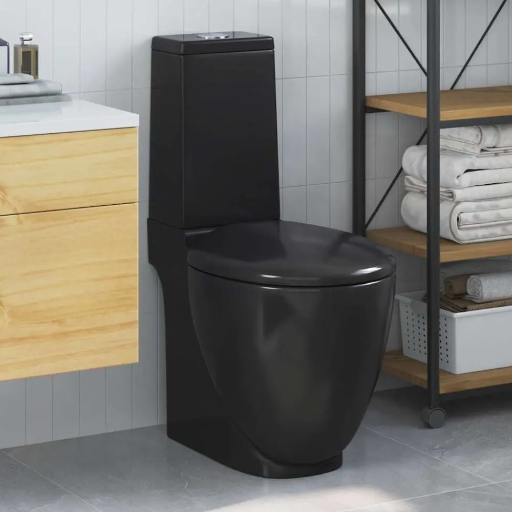 Plomberie-vidaXL Toilette en céramique Ronde Écoulement d'eau au fond Noir