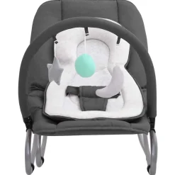 Jouets & Équipement D'Éveil Pour Bébés-vidaXL Transat pour bébé Acier Anthracite