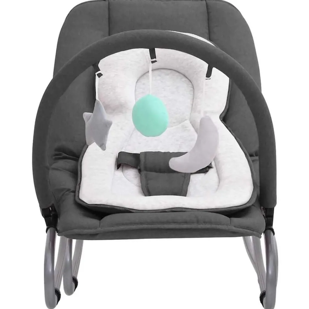 Jouets & Équipement D'Éveil Pour Bébés-vidaXL Transat pour bébé Acier Anthracite