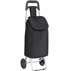 Bagages & Maroquinerie-vidaXL Trolley de shopping 35 x 28 x 92 cm Tissu Oxford Noir