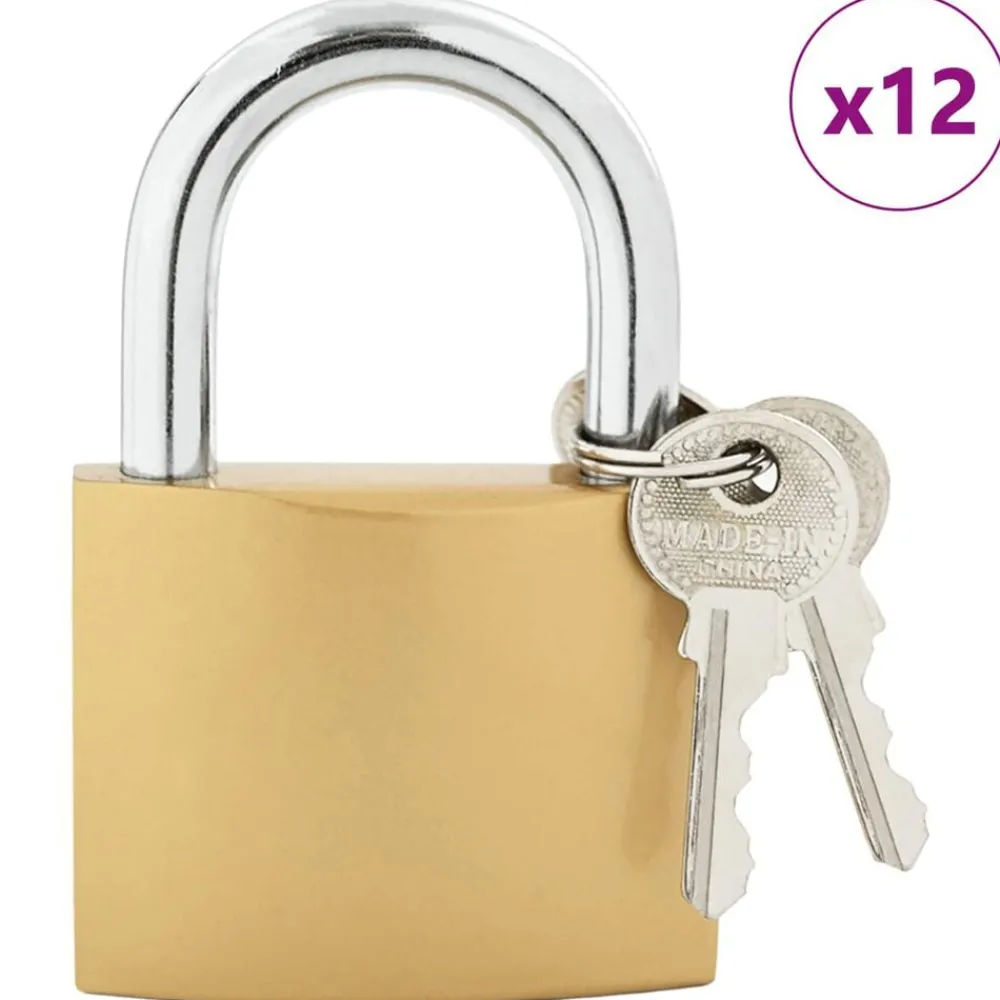 vidaXL U Lock avec Clés 12 pcs Laiton Fer