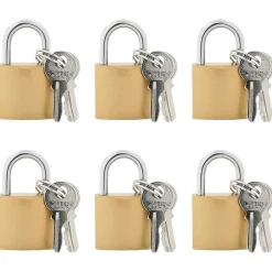 Serrures & Clés-vidaXL U Lock avec Clés 6 pcs Laiton Fer