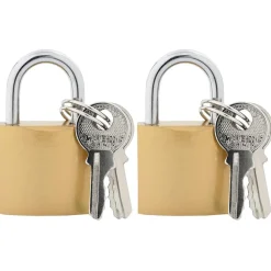 vidaXL U Lock avec Clés 2 pcs Laiton Fer