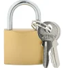 Serrures & Clés-vidaXL U Lock avec Clés 6 pcs Laiton Fer