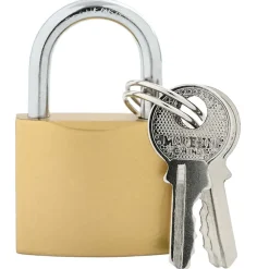 Serrures & Clés-vidaXL U Lock avec Clés 6 pcs Laiton Fer
