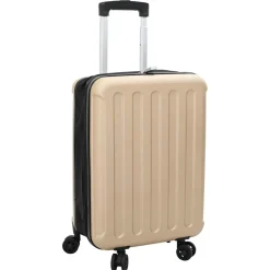 vidaXL Valise 34 x 23 x 55.5 cm Plastic ABS