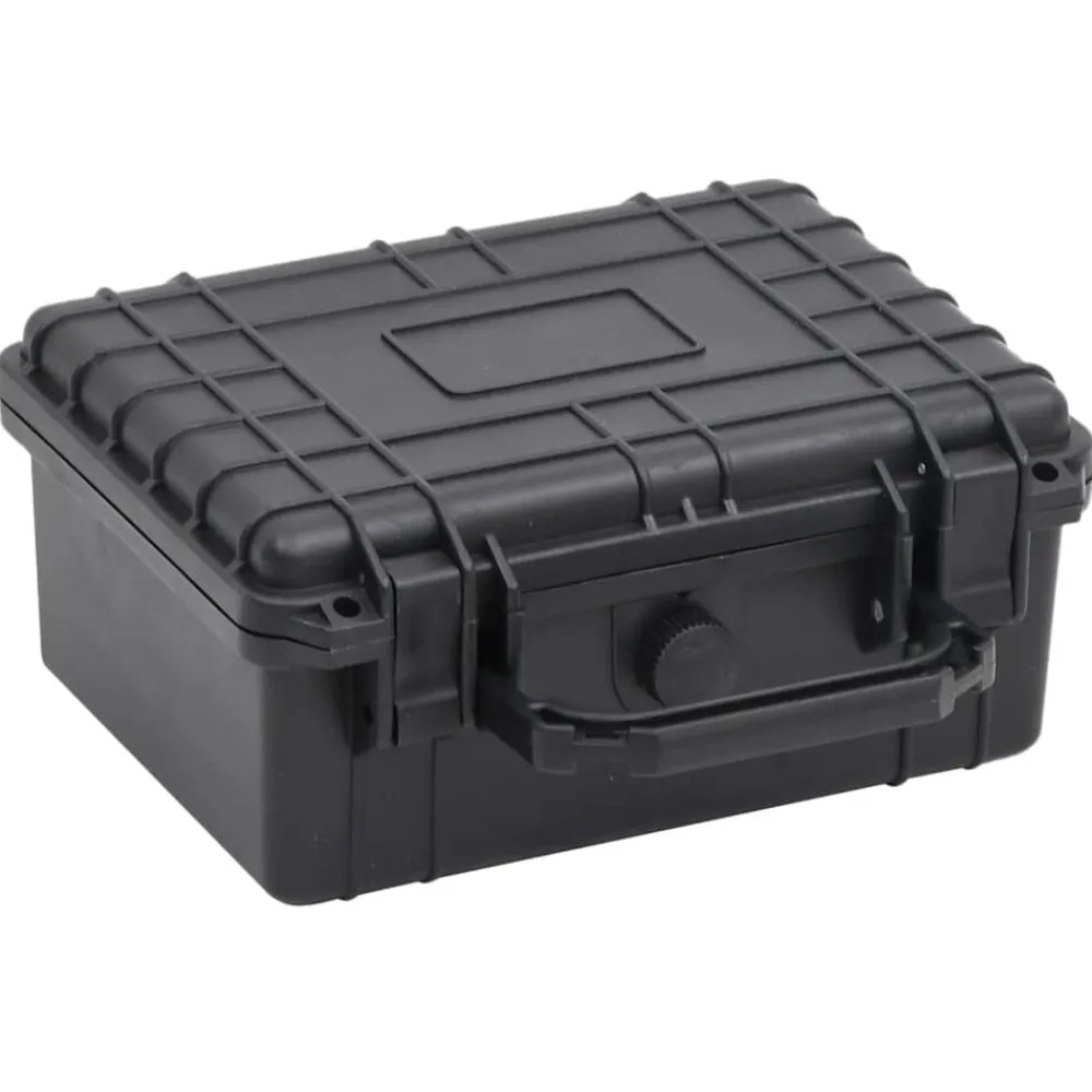 vidaXL Valise de vol portable Noir 24x19x11 cm PP