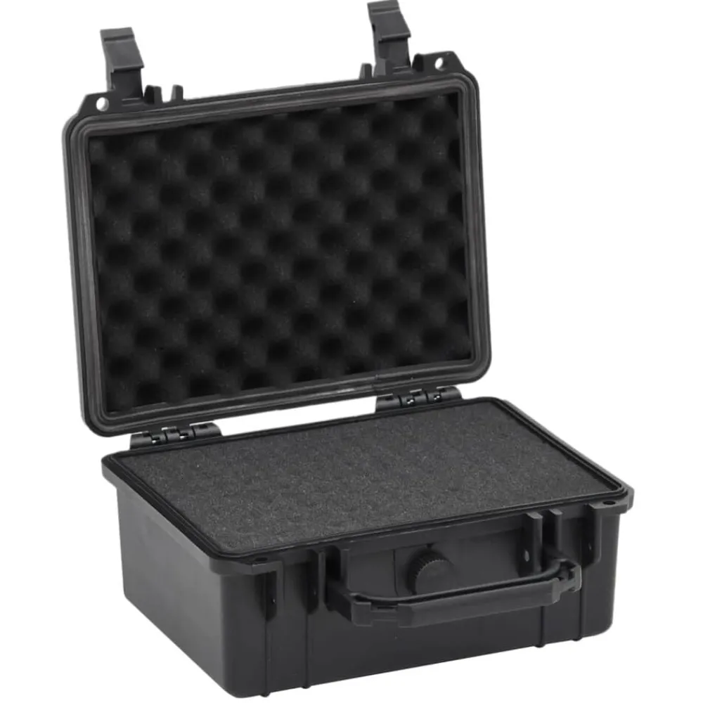 vidaXL Valise de vol portable Noir 24x19x11 cm PP