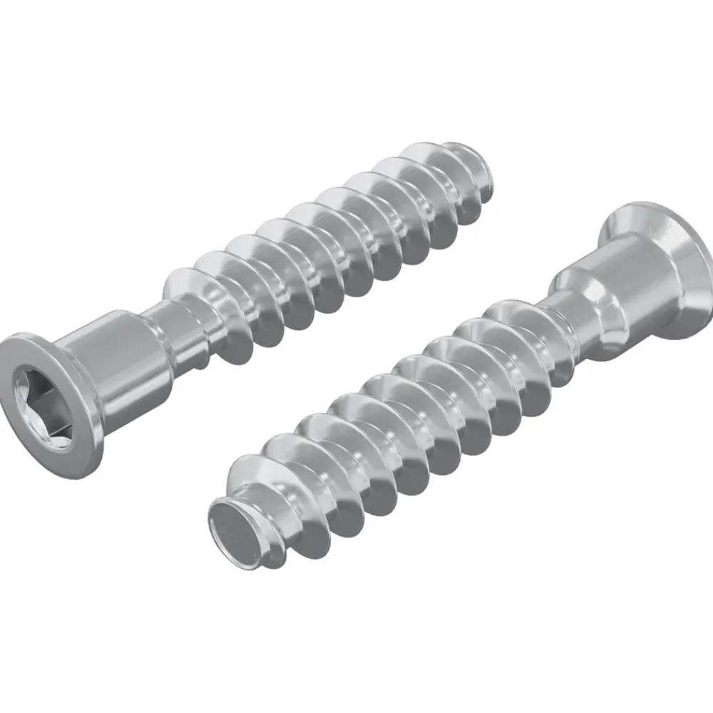 vidaXL Vis à tête cap 2 pcs Argenté M7 x 40 mm Acier