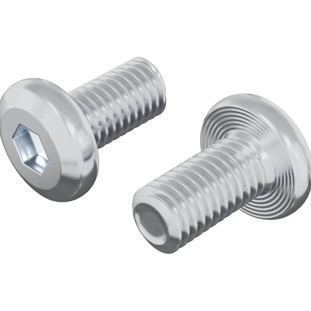vidaXL Vis de verrou Uni 2 pcs Argenté M6 x 12 mm Acier