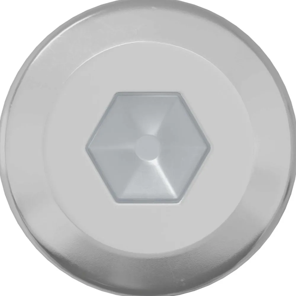 vidaXL Vis de verrou Uni 2 pcs Argenté M6 x 12 mm Acier