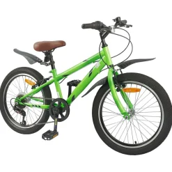 vidaXL Vélo pour Enfants 20 Pouces 6-Speed